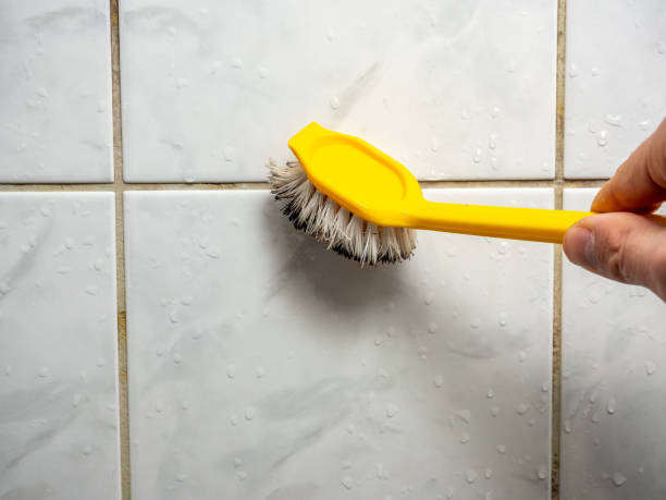 Best Black Mold Removal  in Sophia, WV
